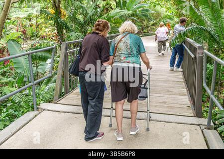 Orlando Florida, Harry P Leu Gardens, botanischer Garten, ältere Frau zu Fuß, ältere Frau mit Mobilitätshilfen, ältere Erwachsene Gehhilfen, Betreuungshilfe Stockfoto