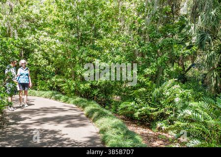 Lake Wales Florida, Bok Tower Gardens, Senior Frau Mann Paar, Spaziergang zusammen Naturlehrpfad, Pfad Garten Spaziergang, tropische Laub Grün, Schatten Bäume l Stockfoto
