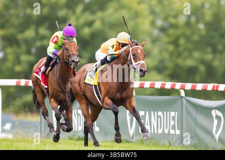 September 2022, Franklin, KY, USA: 10. September 2022: Somelikeithotbrown (NY) #4, geritten von Jose Ortiz, gewinnt am 10. September 2022 die Winstar Mint Millions (Klasse 3) in Kentucky Downs in Franklin, Kentucky. Wendy Wooley für Eclipse Sportswire (Bild: © Wendy Wooley/CSM via ZUMA Press Wire) Stockfoto