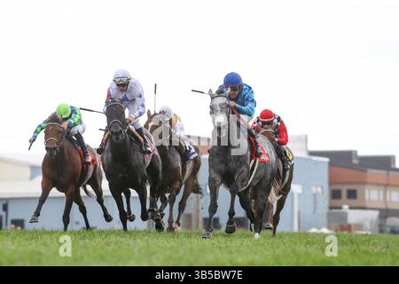 September 2022, Franklin, KY, USA: 10. September 2022: Dalika (GER) #1, geritten von Brian J. Hernandez Jr., gewinnt am 10. September 2022 den Kentucky Downs Ladies Turf Sprint (Klasse 3) in den Kentucky Downs in Franklin, Kentucky. Matt Wooley für Eclipse Sportswire (Bild: © Matt Wooley/CSM via ZUMA Press Wire) Stockfoto