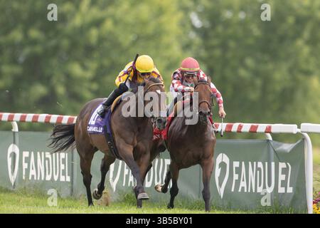 September 2022, Franklin, KY, USA: 10. September 2022: Campanelle #10, geritten von Irad Ortiz Jr., gewinnt am 10. September 2022 die Ladies Sprint Stakes (Klasse 3) in Kentucky Downs in Franklin, Kentucky. .Wendy Wooley für Eclipse Sportswire (Bild: © Wendy Wooley/CSM via ZUMA Press Wire) Stockfoto