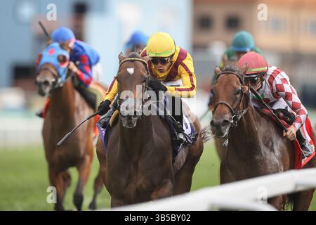 September 2022, Franklin, KY, USA: 10. September 2022: Campanelle #10, geritten von Irad Ortiz Jr., gewinnt am 10. September 2022 die Ladies Sprint Stakes (Klasse 3) in Kentucky Downs in Franklin, Kentucky. .Matt Wooley für Eclipse Sportswire (Bild: © Matt Wooley/CSM via ZUMA Press Wire) Stockfoto