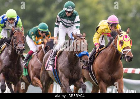 September 2022, Franklin, KY, USA: 10. September 2022: Bran #8, geritten von Vincent Cheminaud, gewinnt am 10. September 2022 den FanDuel Turf Sprint (Klasse 2) in Kentucky Downs in Franklin, Kentucky. Wendy Wooley für Eclipse Sportswire (Bild: © Wendy Wooley/CSM via ZUMA Press Wire) Stockfoto