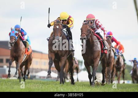 September 2022, Franklin, KY, USA: 10. September 2022: Campanelle #10, geritten von Irad Ortiz Jr., gewinnt am 10. September 2022 die Ladies Sprint Stakes (Klasse 3) in Kentucky Downs in Franklin, Kentucky. .Matt Wooley für Eclipse Sportswire (Bild: © Matt Wooley/CSM via ZUMA Press Wire) Stockfoto