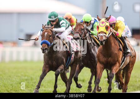 September 2022, Franklin, KY, USA: 10. September 2022: Bran #8, geritten von Vincent Cheminaud, gewinnt am 10. September 2022 den FanDuel Turf Sprint (Klasse 2) in Kentucky Downs in Franklin, Kentucky. Matt Wooley/Eclipse Sportswire/CSM Matt Wooley für Eclipse Sportswire (Bild: © Matt Wooley/CSM via ZUMA Press Wire) Stockfoto