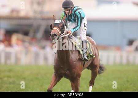 September 2022, Franklin, KY, USA: 10. September 2022: One Timer #12, geritten von E. T. Baird, gewinnt am 10. September 2022 die Franklin-Simpson Stakes (Klasse 2) in Kentucky Downs in Franklin, Kentucky. .Matt Wooley für Eclipse Sportswire (Bild: © Matt Wooley/CSM via ZUMA Press Wire) Stockfoto