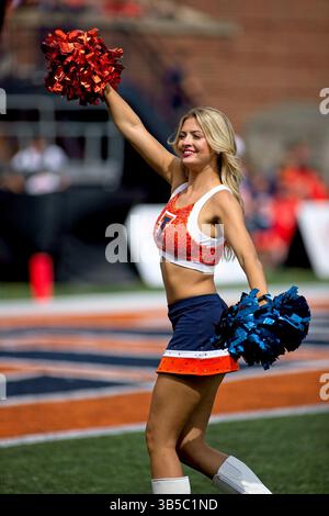 10. September 2022, Champaign, Illinois, USA: Illini Cheerleader. Die Cavaliers der University of Virginia (UVA) besuchen die University of Illinois Fighting Illini. Die Illini gewinnen das Spiel mit 24:3. (Kreditbild: © Alan Look/ZUMA Press Wire) Stockfoto