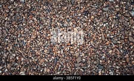 Mehrfarbige, nasse Kieselsteinstruktur mit Gesteinsvarianten in Größe und Form. Die natürliche Anordnung hebt Erdtöne wie Braun, Grau und Braun hervor. Glatt Stockfoto