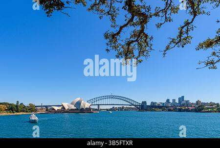 Von Bäumen umrahmte Ausblicke auf das Sydney Opera House und die Sydney Harbour Bridge, Sydney, New South Wales, Australien Stockfoto