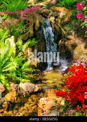 Lebendige Gartenszene mit einem kleinen Wasserfall, der über Felsen stürzt, umgeben von üppigen grünen Farnen und blühenden Blumen in lebhaften Rosa- und Rottönen. Vertikaler Natur Hintergrund. Stockfoto