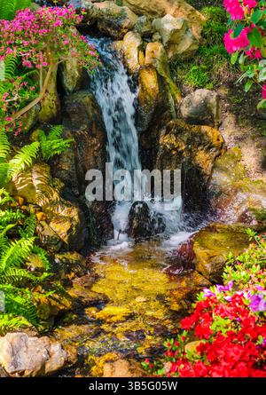 Lebendige Gartenszene mit einem kleinen Wasserfall, der über Felsen stürzt, umgeben von üppigen grünen Farnen und blühenden Blumen in lebhaften Rosa- und Rottönen. Vertikaler Natur Hintergrund. Stockfoto