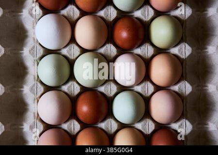 Hähncheneier in einer Öko-Box aus Pappe Stockfoto