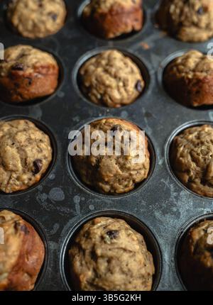 Nahaufnahme von frisch gebackenen Bananenschokolade-Chips-Muffins in der Dose. Stockfoto