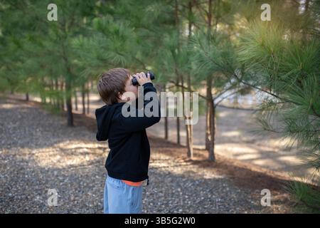 Junge, der ein Fernglas in einem bewaldeten Gebiet mit Kiefern benutzt Stockfoto