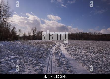 Schneeweiße Winterlandschaft mit farbenfrohem Himmel und einem Pfad mit Ski- und Tierspuren in die Ferne Stockfoto