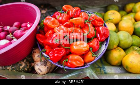 Leuchtend rote frische Habanero Chili-Paprika werden in einer Schüssel auf dem Stadtmarkt in der historischen Stadt Valladolid, Yucatan, Mexiko, angeboten Stockfoto