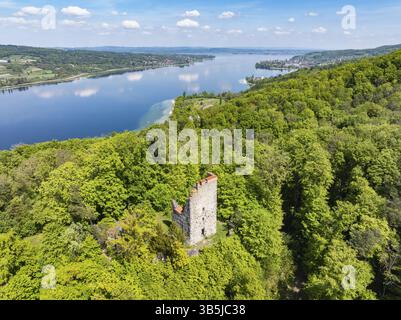 Aus der Vogelperspektive auf die Ruine Neuburg, historischer Anblick über dem Bodensee, Untersee, Rhein, gegenüber der Halbinsel Hoeri, Kanton Thurgau, Schweiz Stockfoto