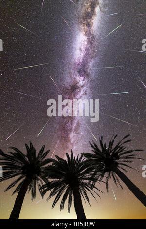 Eine Aussicht auf ein Meteorschauer und dem lila Milchstraße mit drei Palmen Silhouette in den Vordergrund. Nachthimmel natur sommer Landschaft. Perseid Mete Stockfoto