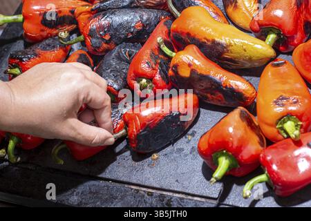 Rote Paprika rösten auf einem Holzofen in Vorbereitung für die Herstellung ajvar, ein traditionelles serbisches Gericht Stockfoto