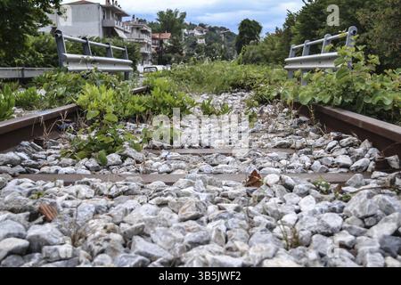 Abgebrochene rusty Eisenbahnschiene mit grünem Gras geschossen im Sommer abgedeckt Stockfoto