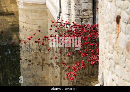Tower of London, London, Großbritannien. Mai 2025. VE Day 80: Tower of London Mohnblumen zum 80. Jahrestag des VE Day im Jahr 2025, wobei 30.000 der ursprünglichen Mohnblumen ausgestellt sind. Quelle: Matthew Chattle/Alamy Live News Stockfoto