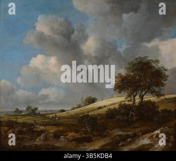 Titel: Ein Maisfeld, im Hintergrund der Zuiderzee-Künstler: Jacob Isaacksz. Van Ruisdael Datum: Ca. 1660 Technik: Öl auf Leinwand Abmessungen: 71 cm (Breite) x 61 cm (Höhe) Ort: Museum Boijmans Van Beuningen Stockfoto