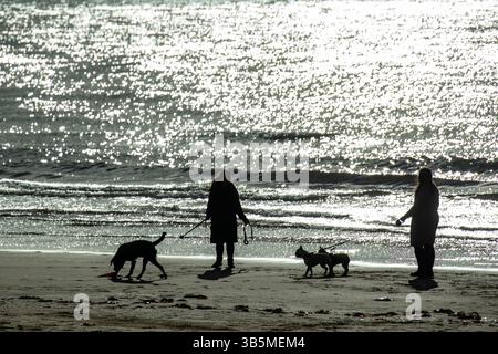 Sillhouetten von zwei Menschen, die mit ihren Hunden am Strand mit dem Meer laufen Stockfoto