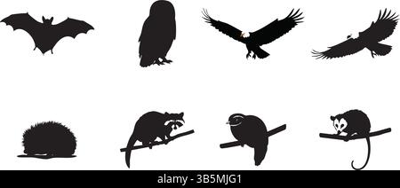 Vektorkunst – Fledermaus, Eulen, Adler, Igel, Waschbär, Opossum Und Mehr Stock Vektor