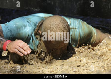 Sofia, Bulgarien - 9. Juli 2016: Ein Teilnehmer taucht im Eiswasser bei der extremen Sportwettbewerb Legion Run in der Nähe von Sofia. Das Sportereignis ist Schlamm Stockfoto