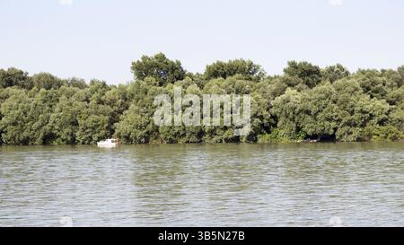 Donau mit Fischerboot in der Ferne und Baumgrenze im Hintergrund Stockfoto