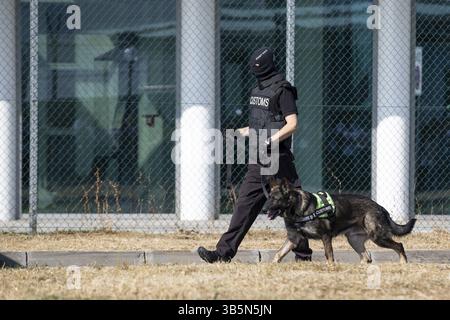 Zoll- und Grenzschutz Officer und Drug Enforcement Administration spezielle Kraft beteiligt sich mit einem speziellen Hund in einer Ausbildung an der Airpor Stockfoto