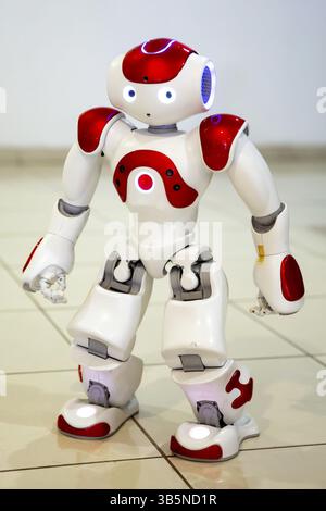 Programmierbare Roboter für Bildung ist auf dem Boden gesehen. Elektronische weißen und roten Roboter, die zu Fuß die Befehle des Benutzers ausführen können. Ein niedriges Niveau kün Stockfoto