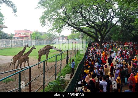 4. Mai 2022, Dhaka, Bangladesch: Nach zwei Jahren pandemisch verursachter Schließung besuchen Tausende am Tag nach Eid-ul-Fitr die Wiedereröffnung des Nationalen Zoos von Mirpur. (Bild: © Habibur Rahman/ZUMA Press Wire Service) Stockfoto
