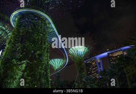 Futuristischer, erhöhter Fußweg, der sich durch beleuchtete Superbäume und üppige Vegetation in Gärten an der Bucht in singapur schlängelt Stockfoto