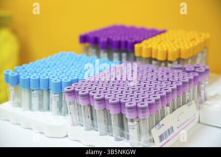 Leere Blutuntersuchungsröhrchen. Rack mit Reagenzgläsern, Wissenschaftlern und Technikern im Chemielabor. Röhrchen für Zentrifugenmaschine in hemat vorbereitet Stockfoto