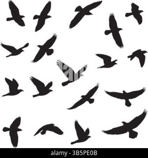 Vogelsilhouetten: Fliegende Adler, Sperling, Krähe Und Mehr - Vektor-Illustration Stock Vektor
