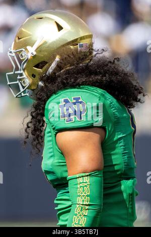 17. September 2022: Notre Dame Linebacker Marist Liufau (8) während des NCAA-Football-Spiels zwischen den California Golden Bears und den Notre Dame Fighting Irish im Notre Dame Stadium in South Bend, Indiana. Notre Dame besiegte Kalifornien mit 24:17. John Mersits/CSM. (Kreditbild: © John Mersits/CSM via ZUMA Press Wire) Stockfoto