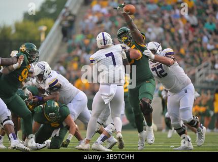 3. September 2022: Baylor Bears Defensive Lineman Gabe Hall (95) blockiert einen Pass von Albany Great Danes Quarterback Reese Poffenbarger (7) während der 1. Hälfte des NCAA Football-Spiels zwischen den Albany Great Danes und Baylor Bears im McLane Stadium in Waco, Texas. Matthew Lynch/CSM (Foto: © Matthew Lynch/CSM via ZUMA Press Wire) Stockfoto