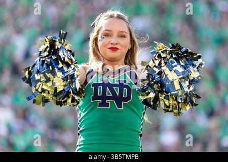 17. September 2022: Notre Dame Cheerleader tritt im Notre Dame Stadium in South Bend, Indiana, während der NCAA-Football-Action zwischen den California Golden Bears und den Notre Dame Fighting Irish auf. Notre Dame besiegte Kalifornien mit 24:17. John Mersits/CSM. (Kreditbild: © John Mersits/CSM via ZUMA Press Wire) Stockfoto