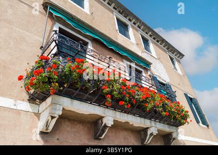 Eiserner Balkon mit roten Blumen auf historischem Gebäude Stockfoto