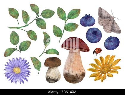 Zweige, Blätter und Beeren von Heidelbeeren, Speisepilzen, Herbstfalter und Marienkäfer. Eine Reihe von Elementen für die Gestaltung von Postkarten Stockfoto