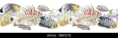 Nahtlose Grenze mit tropischen Fischen. Exotische Meeresbewohner. Löwe, Chirurg, Elefant. Gestreifter und farbiger Fisch. Aquarellabbildung isoliert von Stockfoto