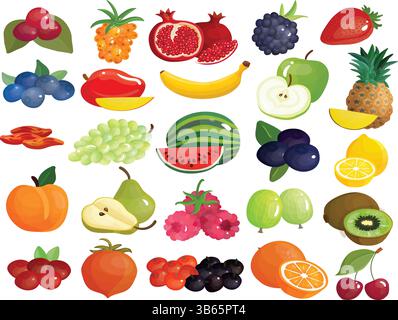 Hochwertige Vektor-Illustration von bunten Früchten Set Stock Vektor