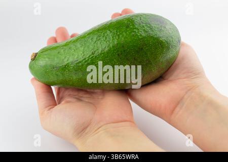 Große Avocado in der Hand auf weißem Hintergrund. Obst und Gemüse. Richtige Ernährung. Stockfoto
