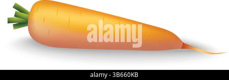 Orangefarbene Karotte mit grüner Oberseite Stock Vektor