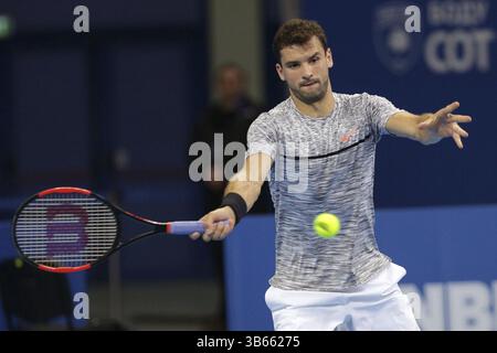 Sofia, Bulgarien - 10. Februar 2017: Grigor Dimitrov (im Bild) von Bulgarien spielt gegen Viktor Troicki aus Serbien während eines Spiels von Sofia offen Stockfoto