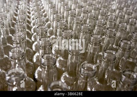 Whiskey Whiskey und Brandy Destillerie. Leere Glasflaschen Stockfoto