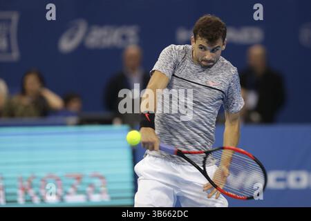 Sofia, Bulgarien - 12. Februar 2017: Grigor Dimitrov (im Bild) von Bulgarien spielt gegen David Goffin aus Belgien während des letzten Spiels von Sofi Stockfoto