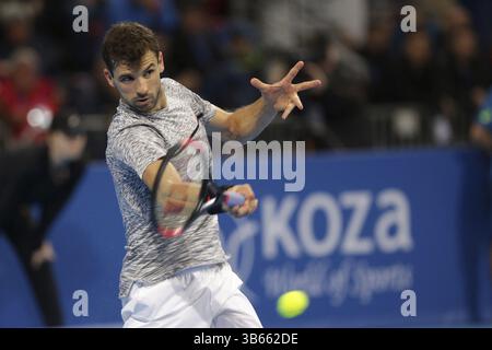 Sofia, Bulgarien - 12. Februar 2017: Grigor Dimitrov (im Bild) von Bulgarien spielt gegen David Goffin aus Belgien während des letzten Spiels von Sofi Stockfoto