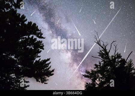 Ein Blick auf ein Meteoritenschauer und die Milchstraße mit Pinien Bäumen Wald Silhouette im Vordergrund. Nacht Himmel Sommer Naturlandschaft. Perseiden-Meteor S Stockfoto